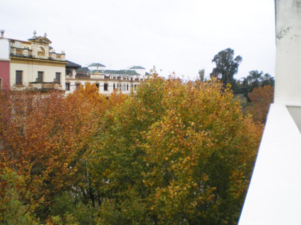 Apartamentos Murallas de Sevilla Exterior foto